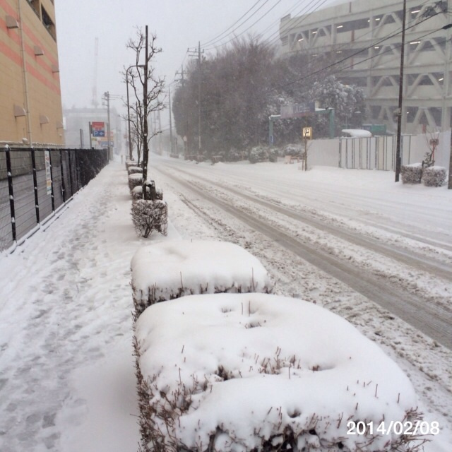 寄り道