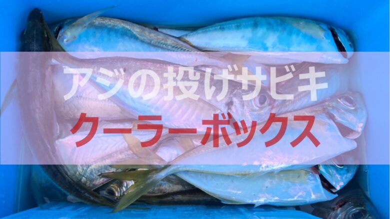 アジの投げサビキ釣りにおすすめのクーラーボックス3選 サイズ感と保冷力が重要 米子近郊釣りブログ