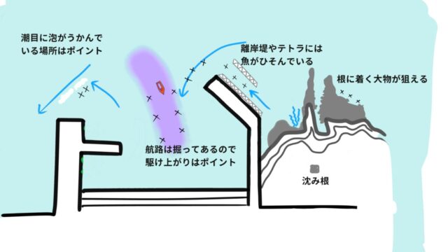 アジの投げサビキ釣り入門 釣り具 釣り方と釣り場選びの基本を徹底解説 しまちゃんの釣りログ