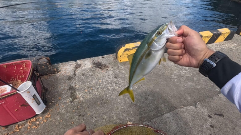 最後に釣れた大物