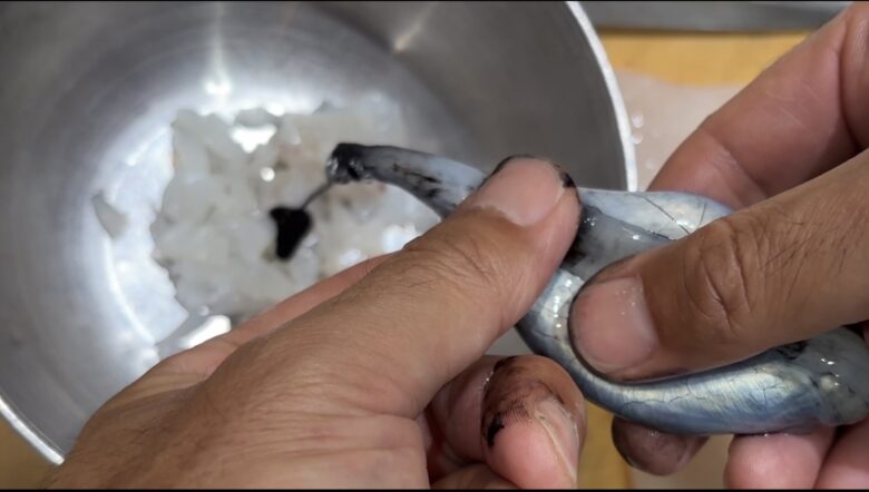 イカの墨袋から墨を取って料理に使う